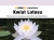 fc83dbf658c06abe402e17bef376e971.webp