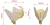 a7a2182f795f0b79a65ab567fc634d6b.jpg