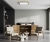 PLF-39573-450S-50W-BL-aranz.jpg