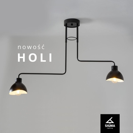 HOLI-banner-fb-2.jpg