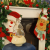 b4b422d97d6454e2dae03fe15bc49669.png