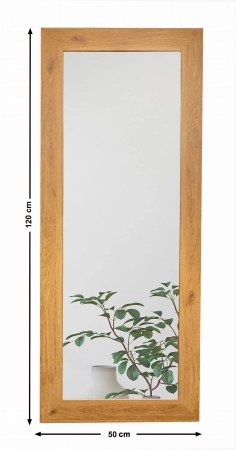 5903886111745-debowe-lustro-wiszace-do-salonu-120x50-bd-art-6.jpg