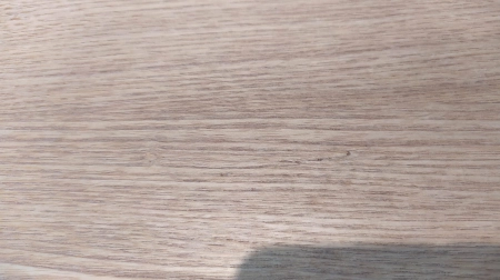 1719923427460.jpg