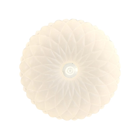 cf8be2d80e70eaf1d080bc377b153e09.jpg