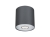 6007-POINT-GRAPHITE-SILVER-GRAPHITE-WHITE-M.jpg