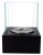 DSC09841.png