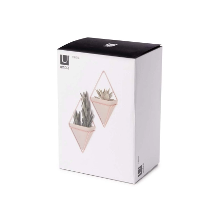 470753-633-Packaging-Image-1.jpg