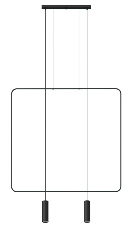 Thoro-RANA-2.jpg