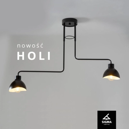 HOLI-banner-fb-2.jpg