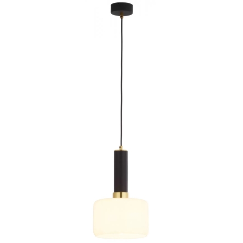 Przejdź do produktu Lampa sufitowa wisząca VANES czarna, klosz biały