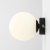 7d6accc73d18153ffbba99be49eb.jpeg