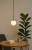 a0f6408c675c5c65d49a4cc993504411.png