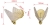 a7a2182f795f0b79a65ab567fc634d6b.jpg