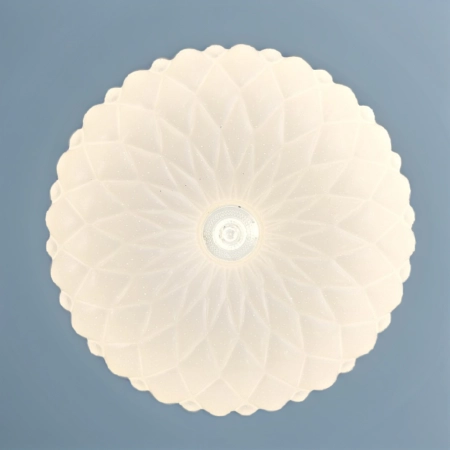 e453cd3595272c85db673340441090b6.jpg