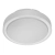 1363_2.webp