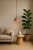 1199bacd0ffe60674e910a66b2374587.png