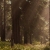 7601d116d4c254c7dbebc2b0ff9ce12d.jpg