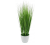 cbd95021d1ccf3a16a800ea2a36c8502.png