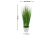 b5706aeeac8898adbe2883cb2a9edf94.png