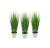 d5a12f2cd853ee442acec6ff23d284cc.png