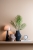 36c21b556effab5a530fdb6eb5353561.jpg
