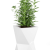 613f1afe7c59f07bc7059e456bd52eb4.png