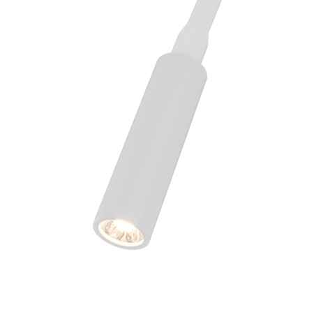 b4b584a4e7c56c50266ffbfc94df06c7.jpg