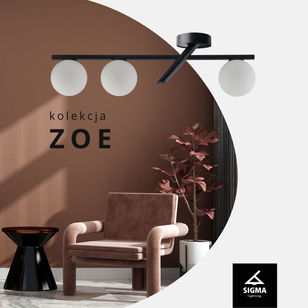 banner-fb-ZOE.jpg