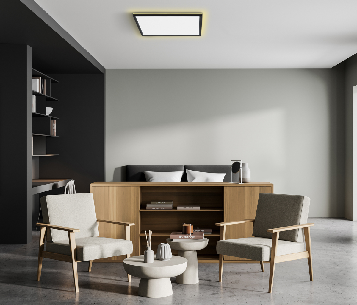 PLF-39573-450S-50W-BL-aranz.jpg