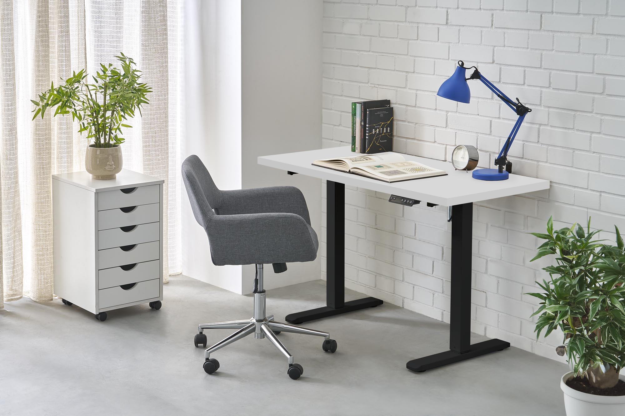 5905248137509_9.jpg