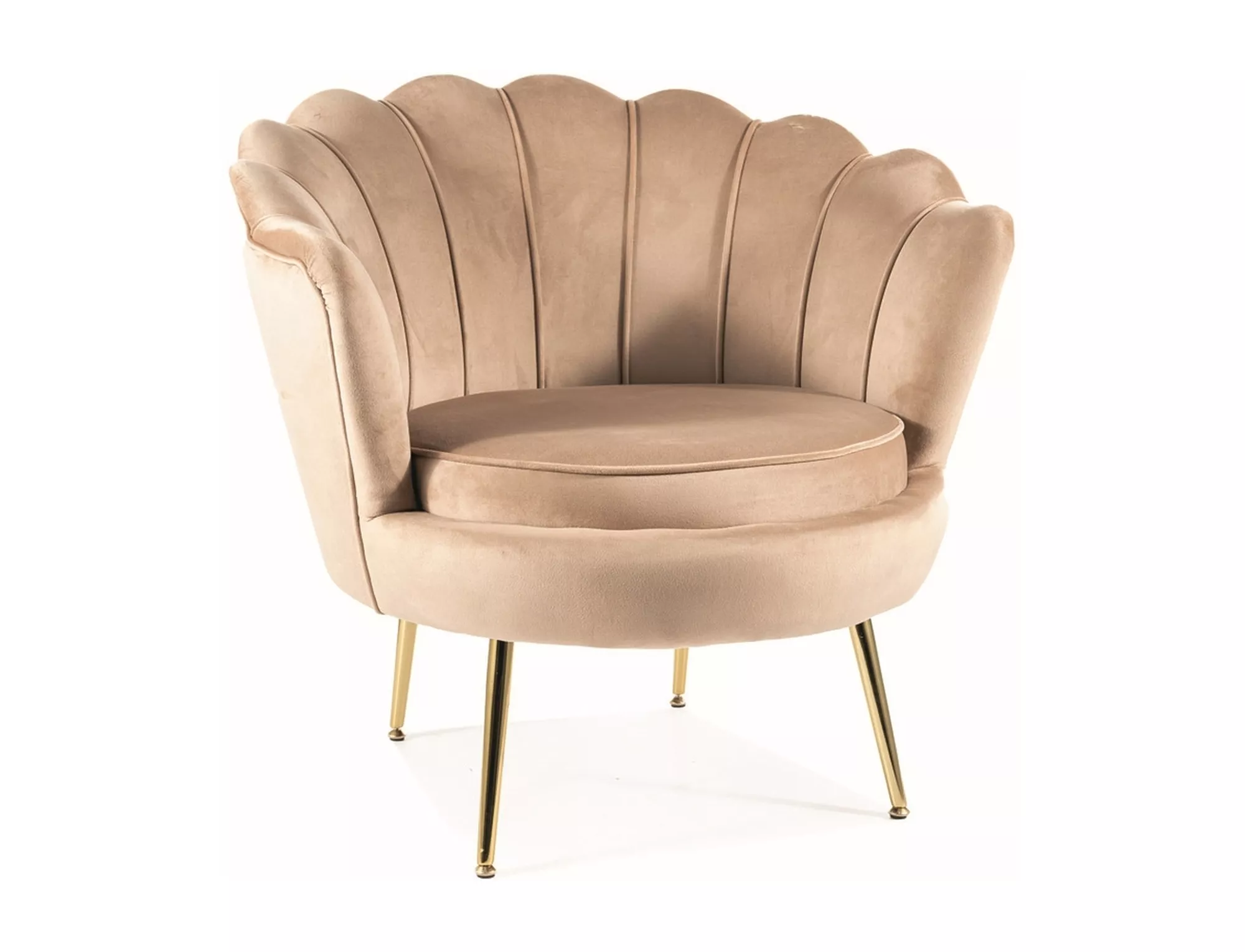 product-1867.webp